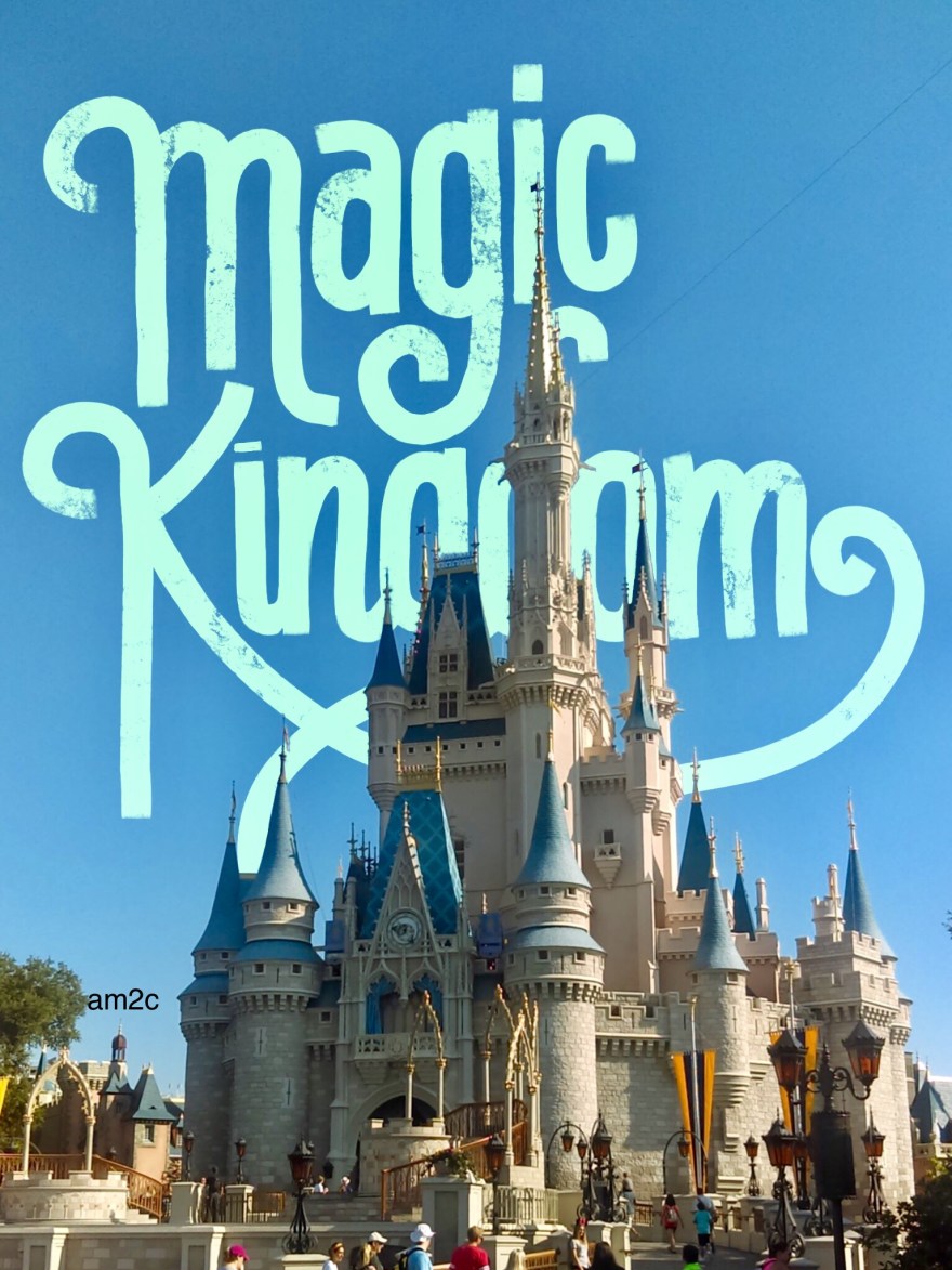 391ED393-8289-4B01-85B7-46A2850DC3D7